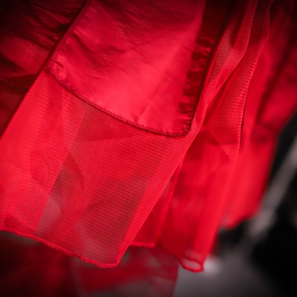 Ariella Red Pleated Satin and Tulle Dress - Picture 3 of 5